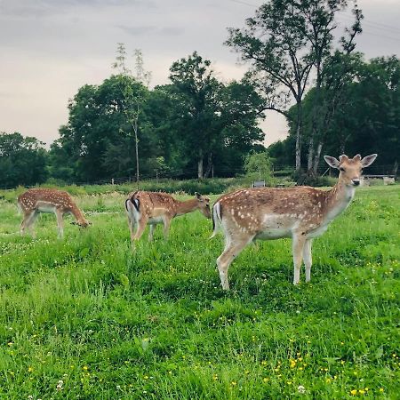 Tente Lodge Elevage Girbal La Chapelotte Zewnętrze zdjęcie